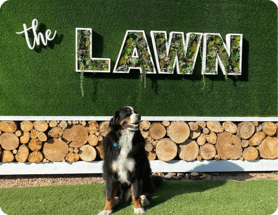[Austin][tx] food truck location and space for rent