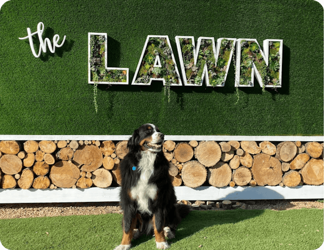 The Lawn on South Congress