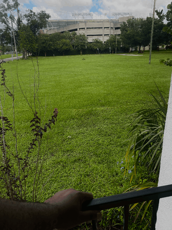 Raymond James Stadium