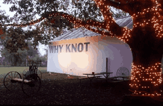 Why Knot
