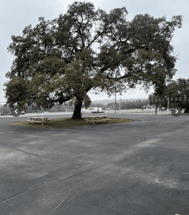 Great High Traffic Location Off I-35 and I-14 Belton Tx