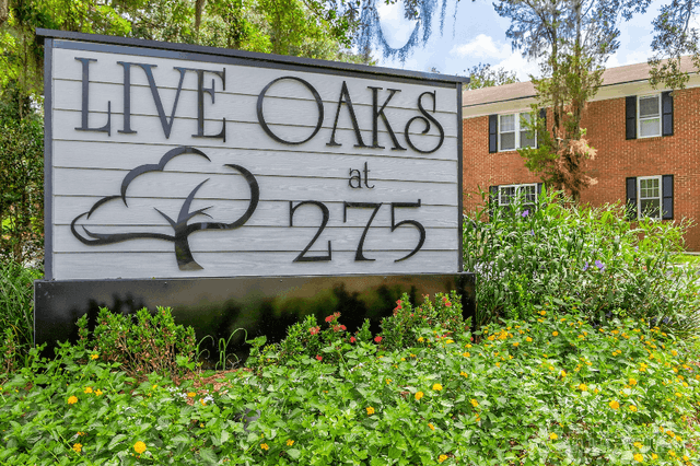 Live oaks at 275