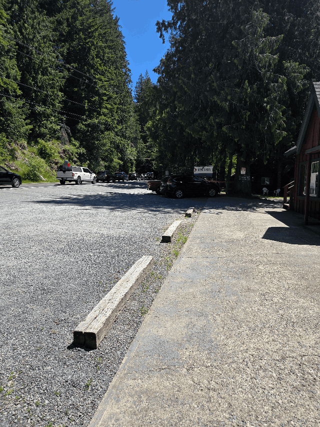 Mount Rainier Entrance