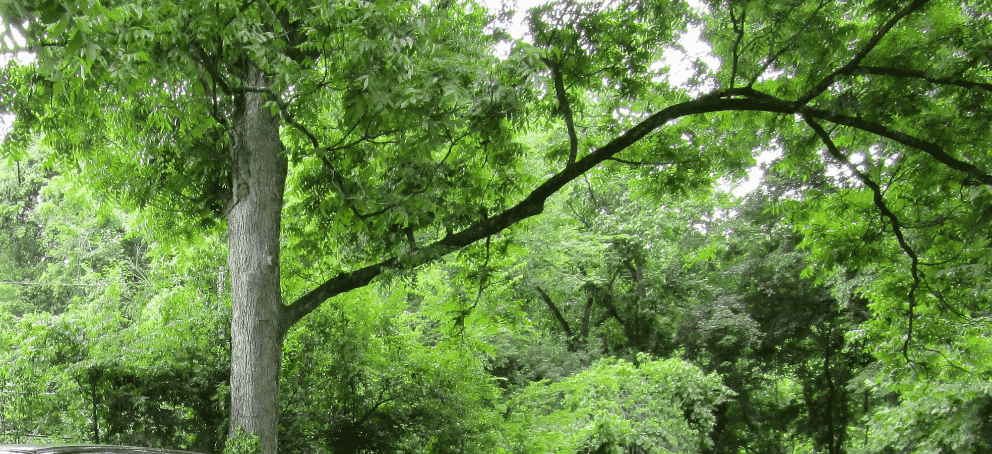 Durham: Food Truck Park, Outdoor Vending Space