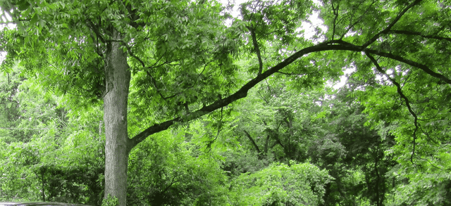 Durham: Food Truck Park, Outdoor Vending Space
