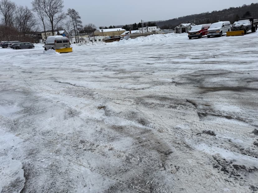 Peaceful Spacious Area